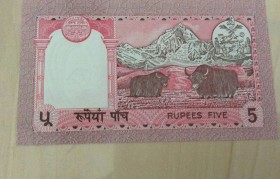 尼泊尔的货币(尼泊尔的货币符号)