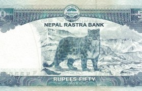 尼泊尔的货币(尼泊尔的货币和印度一样吗)