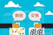 数据货币交易(数据货币化是什么意思)