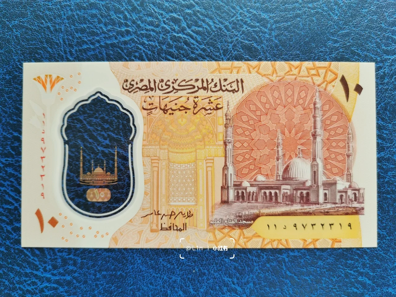 埃及货币图片(埃及钞票图片大全)