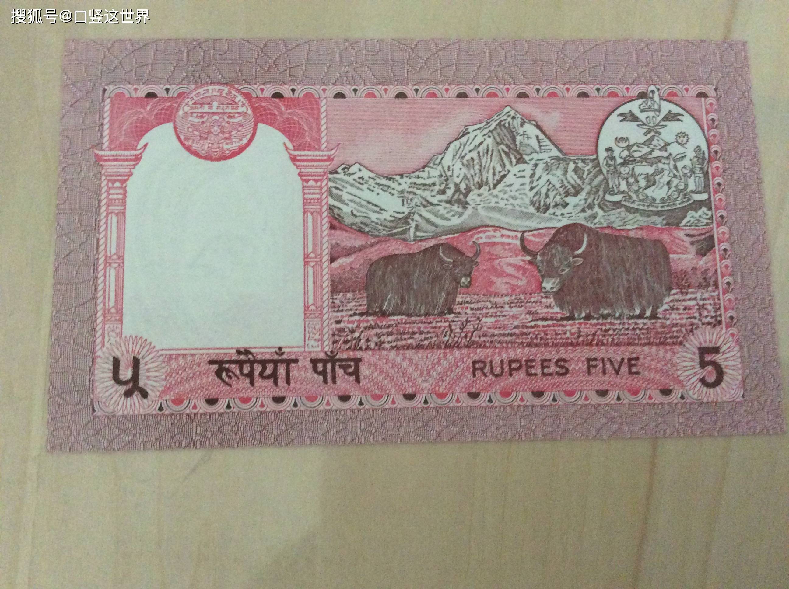 尼泊尔的货币(尼泊尔的货币符号)